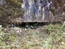 Ligne Maginot - BB12-A - BRAUX OUEST - (Blockhaus pour canon) - Face Face frontale, créneau AC