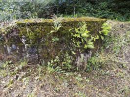 Ligne Maginot - BB12-A - BRAUX OUEST - (Blockhaus pour canon) - Face droite