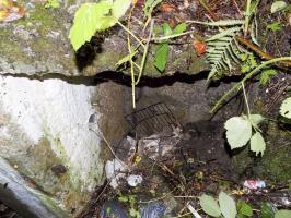Ligne Maginot - BB12-A - BRAUX OUEST - (Blockhaus pour canon) - Niche en béton à coté de l'entrée AC