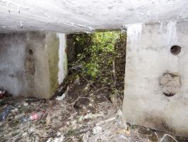 Ligne Maginot - BB12-A - BRAUX OUEST - (Blockhaus pour canon) - L'entrée AC