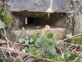 Ligne Maginot - BB51 - LE PAS BAYARD - (Blockhaus pour arme infanterie) - 