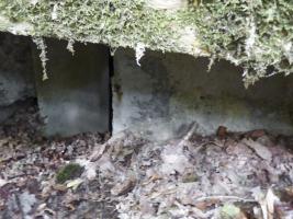Ligne Maginot - BB53-B - LA CARBONNIERE SUD - (Blockhaus pour arme infanterie) - 