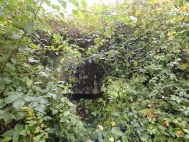 Ligne Maginot - BB53 - LA CARBONNIERE NORD - (Blockhaus pour canon) - 