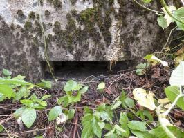 Ligne Maginot - BB53 - LA CARBONNIERE NORD - (Blockhaus pour canon) - 