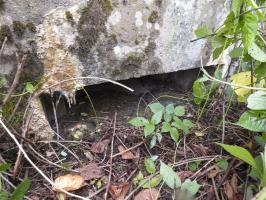 Ligne Maginot - BB53 - LA CARBONNIERE NORD - (Blockhaus pour canon) - 