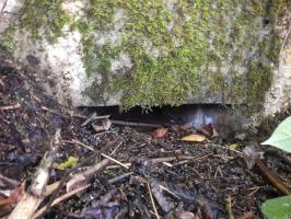 Ligne Maginot - BB53 - LA CARBONNIERE NORD - (Blockhaus pour canon) - 