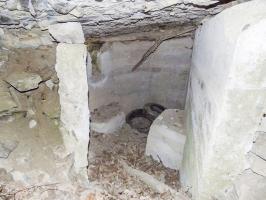 Ligne Maginot - BB54B - LA TERRE NOBLESSE SUD 2 - (Blockhaus pour arme infanterie) - L'entrée