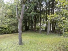 Ligne Maginot - BB56B - PONT DE MONTHERME SUD - (Blockhaus de type indéterminé) - Le bloc était au fond, à la fin du ligne des 4 sapins