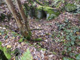 Ligne Maginot - BB57B - SOLTYS OUEST - (Blockhaus pour arme infanterie) - 