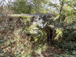 Ligne Maginot - BB59-C - BOIS DE L'HERMITAGE SUD - (Blockhaus pour arme infanterie) - L'arrière