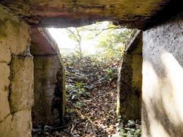 Ligne Maginot - BB59-C - BOIS DE L'HERMITAGE SUD - (Blockhaus pour arme infanterie) - Vue de l'entrée