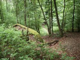 Ligne Maginot - A63 - NOUZONVILLE - (Casemate d'artillerie) - 
