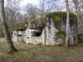 Ligne Maginot - TROIS FONTAINES NORD - (Blockhaus lourd type STG / STG-FCR - Simple) - Vue du sud