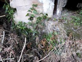 Ligne Maginot - BEYCORS - (Blockhaus lourd type STG / STG-FCR - Double) - 
