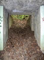Ligne Maginot - BB14-A - LES ROSSIGNOLS - (Blockhaus pour arme infanterie) - 