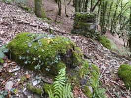 Ligne Maginot - BB14-A - LES ROSSIGNOLS - (Blockhaus pour arme infanterie) - Piliers du treuil de ravitallement