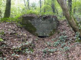 Ligne Maginot - BB62-E - BRAUX SUD 2 - (Blockhaus pour canon) - 