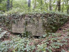 Ligne Maginot - BB62-E - BRAUX SUD 2 - (Blockhaus pour canon) - 