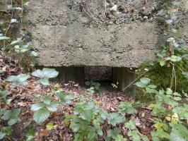 Ligne Maginot - BB62-E - BRAUX SUD 2 - (Blockhaus pour canon) - 