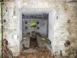 Ligne Maginot - BB62-E - BRAUX SUD 2 - (Blockhaus pour canon) - 