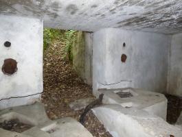 Ligne Maginot - BB62-E - BRAUX SUD 2 - (Blockhaus pour canon) - 