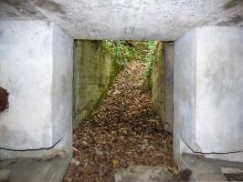 Ligne Maginot - BB62-E - BRAUX SUD 2 - (Blockhaus pour canon) - 