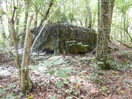 Ligne Maginot - BB64 - CROIX LA MOUCHE - (Blockhaus pour canon) - 