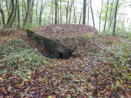 Ligne Maginot - BB67-B - ROCHE MARTIN - (Blockhaus pour arme infanterie) - 