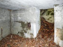 Ligne Maginot - BB67-B - ROCHE MARTIN - (Blockhaus pour arme infanterie) - 