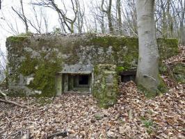 Ligne Maginot - BB67 - WEBES DE MONTCY - (Blockhaus pour arme infanterie) - Créneaux Nord (flanquement principal)