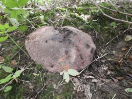 Ligne Maginot - BB68 - CHATEAU DE LA PIERRONNERIE - (Blockhaus pour arme infanterie) - 