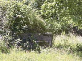 Ligne Maginot - BB69-B - BOIS DE LA PIERRONNERIE SUD - (Blockhaus pour arme infanterie) - Pris de la voie verte, de l'est