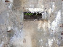 Ligne Maginot - BB69-B - BOIS DE LA PIERRONNERIE SUD - (Blockhaus pour arme infanterie) - 