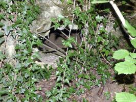 Ligne Maginot - BB71-B - LA PRE - (Blockhaus pour canon) - 