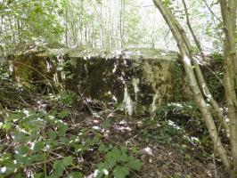 Ligne Maginot - BB71-E - CHAMPEAUX SUD - (Blockhaus pour canon) - 