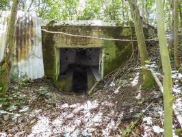 Ligne Maginot - BB71-E - CHAMPEAUX SUD - (Blockhaus pour canon) - 