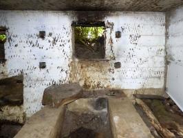 Ligne Maginot - BB71-E - CHAMPEAUX SUD - (Blockhaus pour canon) - 