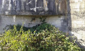 Ligne Maginot - CEZF-1 - FERME SAINT JEAN - (Casemate d'infanterie - Double) - 
