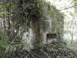 Ligne Maginot - BB74-B - LA SARTE SUD - (Blockhaus pour arme infanterie) - 