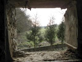 Ligne Maginot - MF7 - I - RUMEL - (Poste GRM - Maison Forte) - Vue face droite, créneau FM
