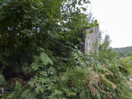 Ligne Maginot - NOUZONVILLE - (Stand de tir) - 