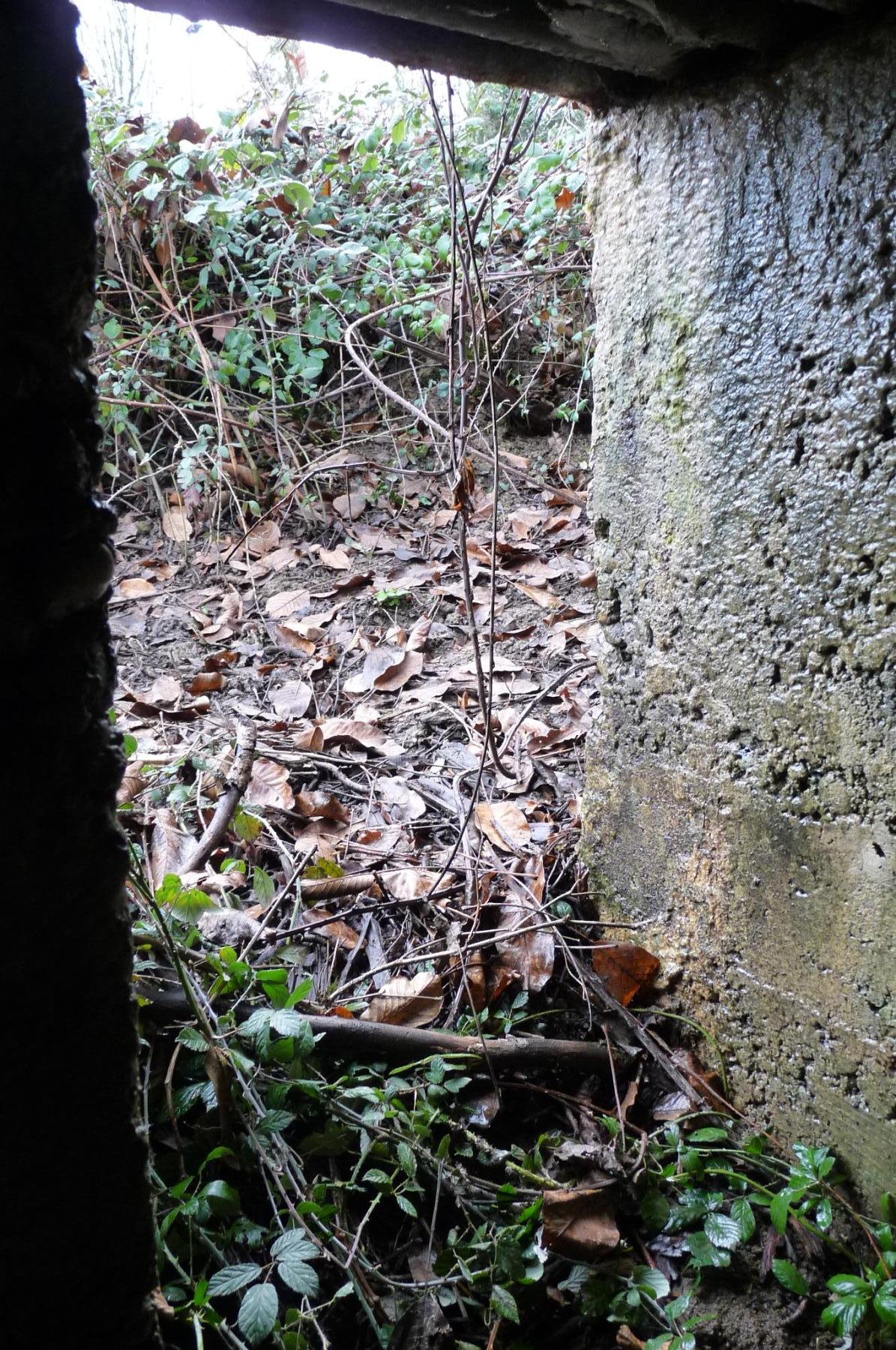 Ligne Maginot - BC3 - FREIHAUSER - (Chambre de coupure) -  - Sylvie Laure LAMBERT