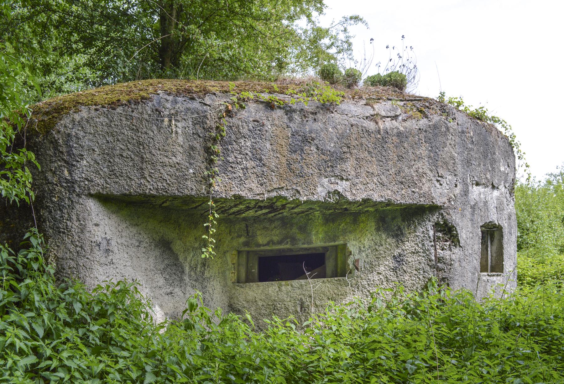 Ligne Maginot - B342 - MARAIS DE BERCU - (Blockhaus pour canon) -  - ukmaginot