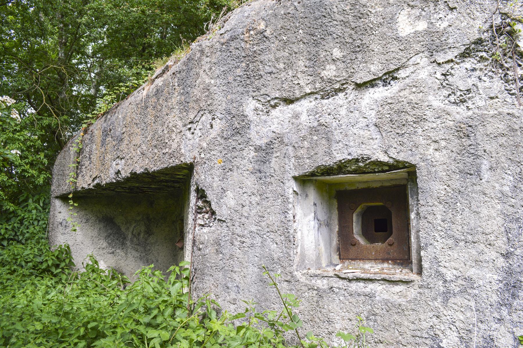 Ligne Maginot - B342 - MARAIS DE BERCU - (Blockhaus pour canon) -  - ukmaginot