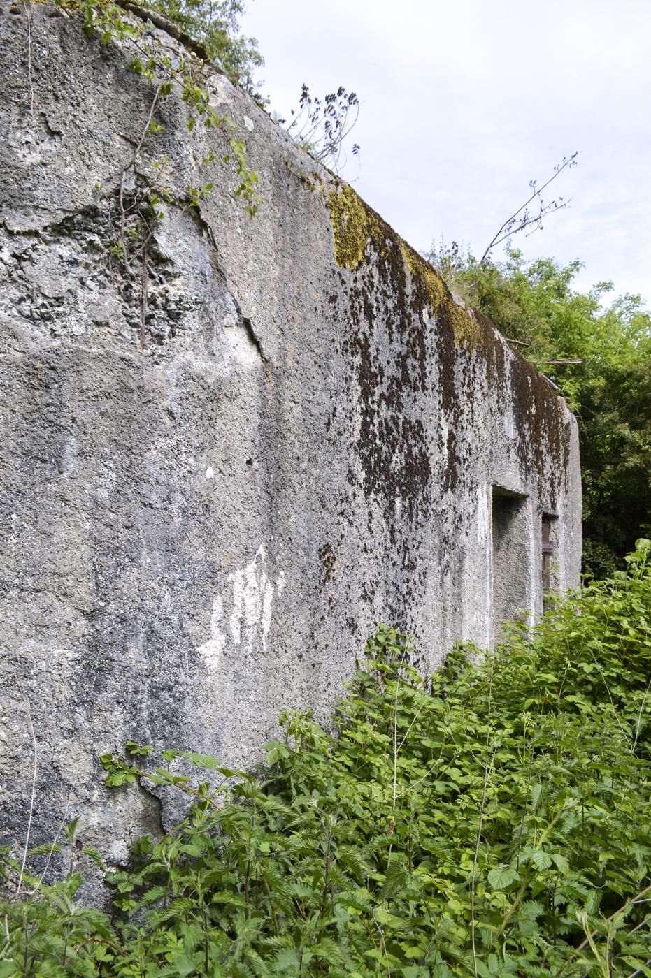 Ligne Maginot - B342 - MARAIS DE BERCU - (Blockhaus pour canon) -  - ukmaginot