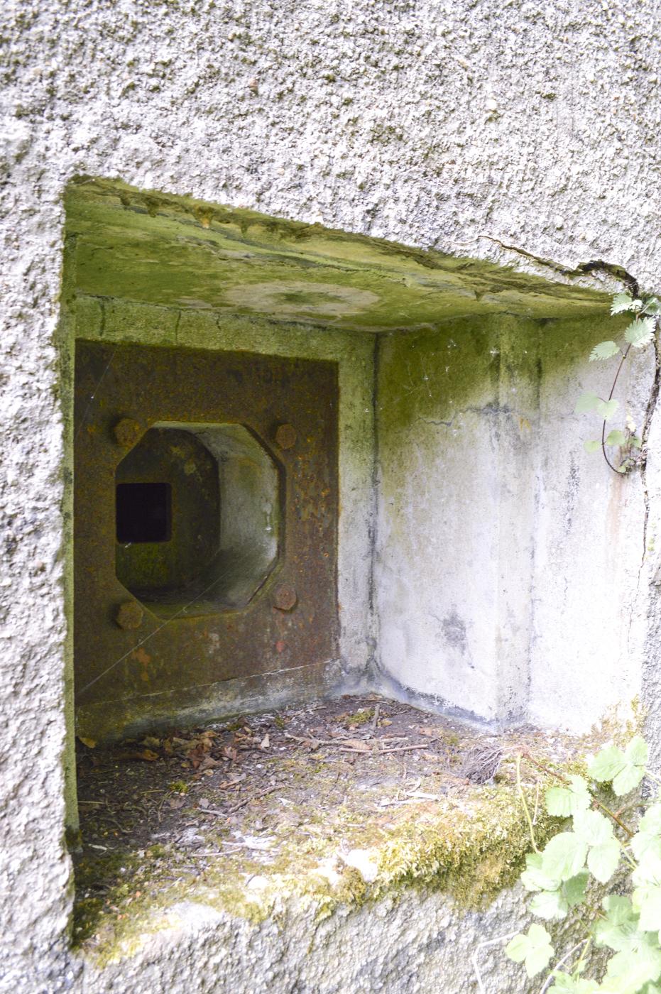 Ligne Maginot - B342 - MARAIS DE BERCU - (Blockhaus pour canon) -  - ukmaginot