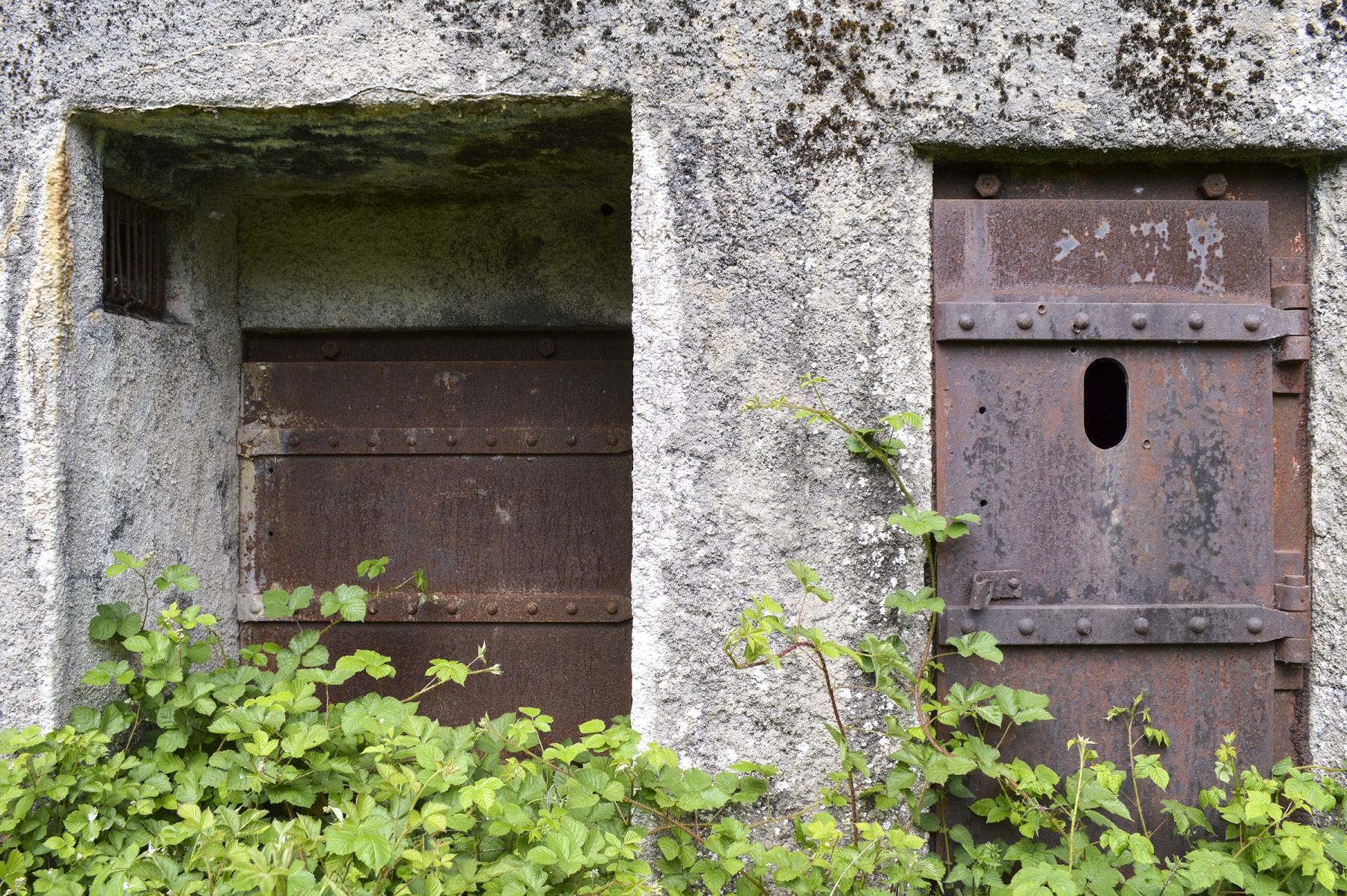 Ligne Maginot - B342 - MARAIS DE BERCU - (Blockhaus pour canon) -  - ukmaginot