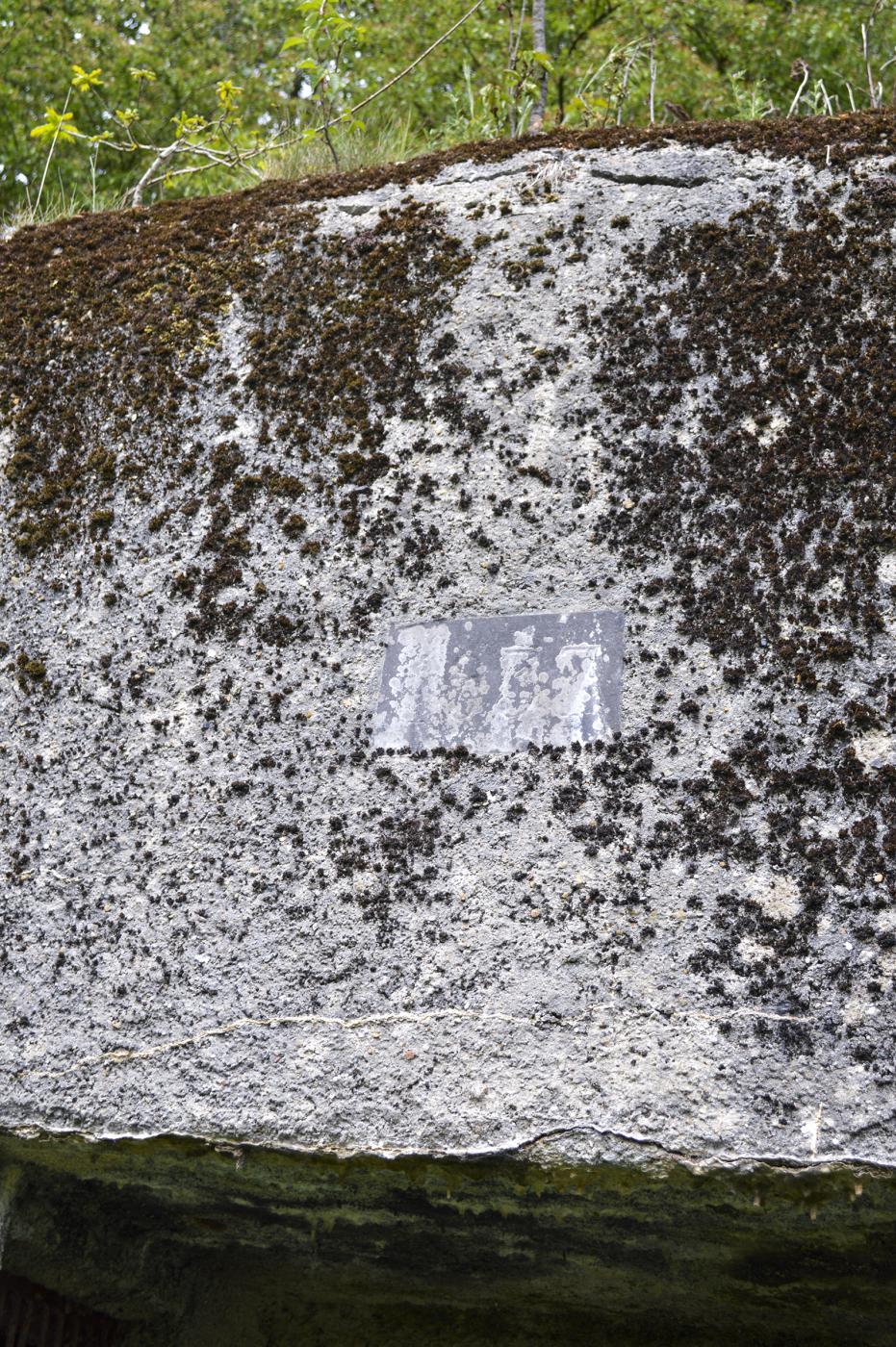 Ligne Maginot - B342 - MARAIS DE BERCU - (Blockhaus pour canon) -  - ukmaginot