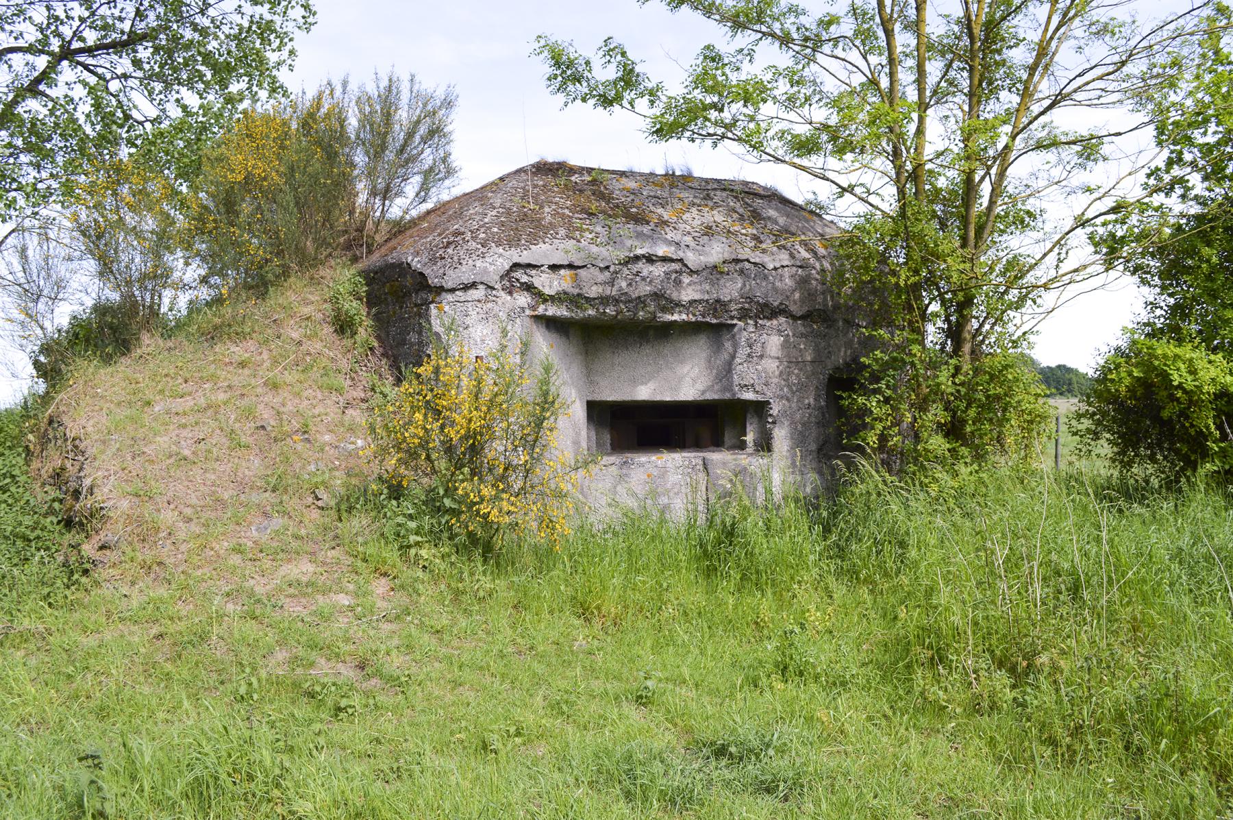 Ligne Maginot - BURIDON NORD - (Blockhaus pour canon) -  - ukmaginot