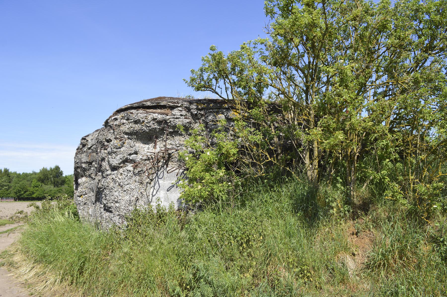 Ligne Maginot - SUD DE BRUILLE - (Blockhaus pour canon) -  - ukmaginot